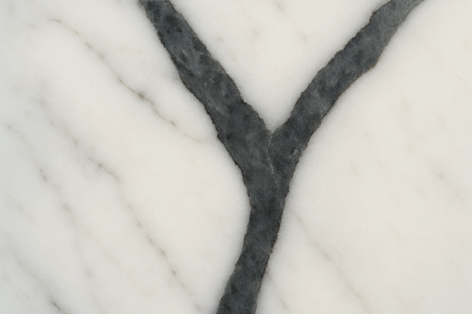Extreme close-up of white marble where a single dark vein rises through the stone and divides into two branches.